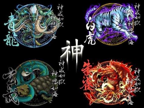 青龍 白虎 朱雀 玄武|四大神獸(四神獸):起源,青龍,來歷,地名,年號,區別,白虎,來歷,象徵,。